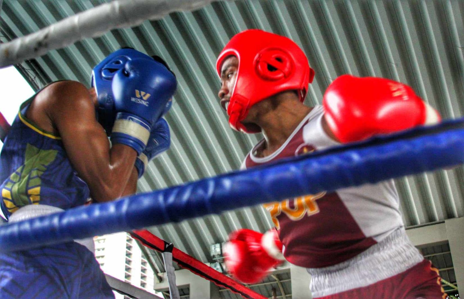 Florence Sumpay (Red) Champion) vs Rodrigo Lumogda (Blue) [PSC Media pool photo]