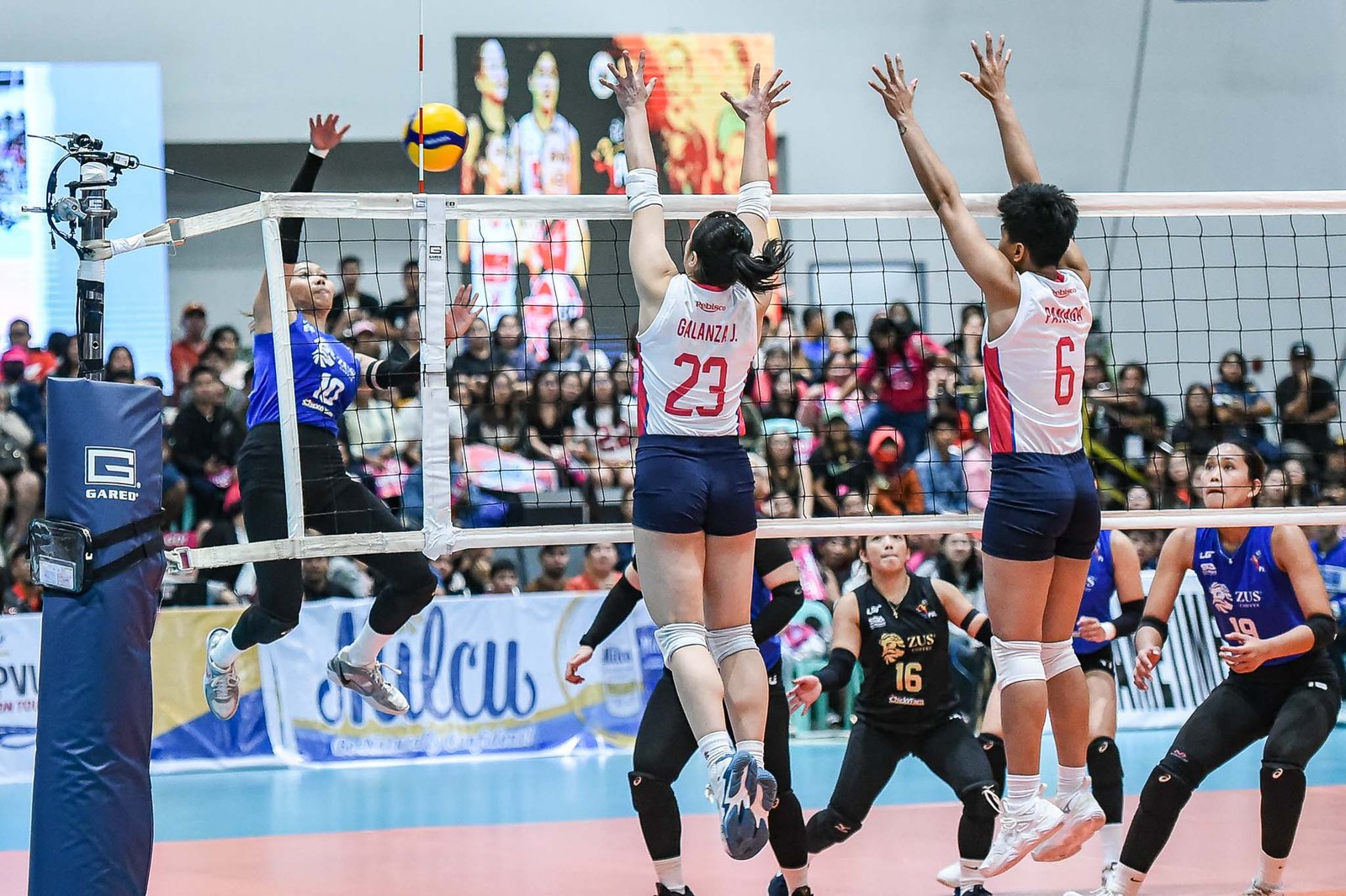 Chinnie Arroyo rises high for a kill as ZUS Coffee topples Creamline in a five-set thriller at the Passi Arena. [PVL Images]
