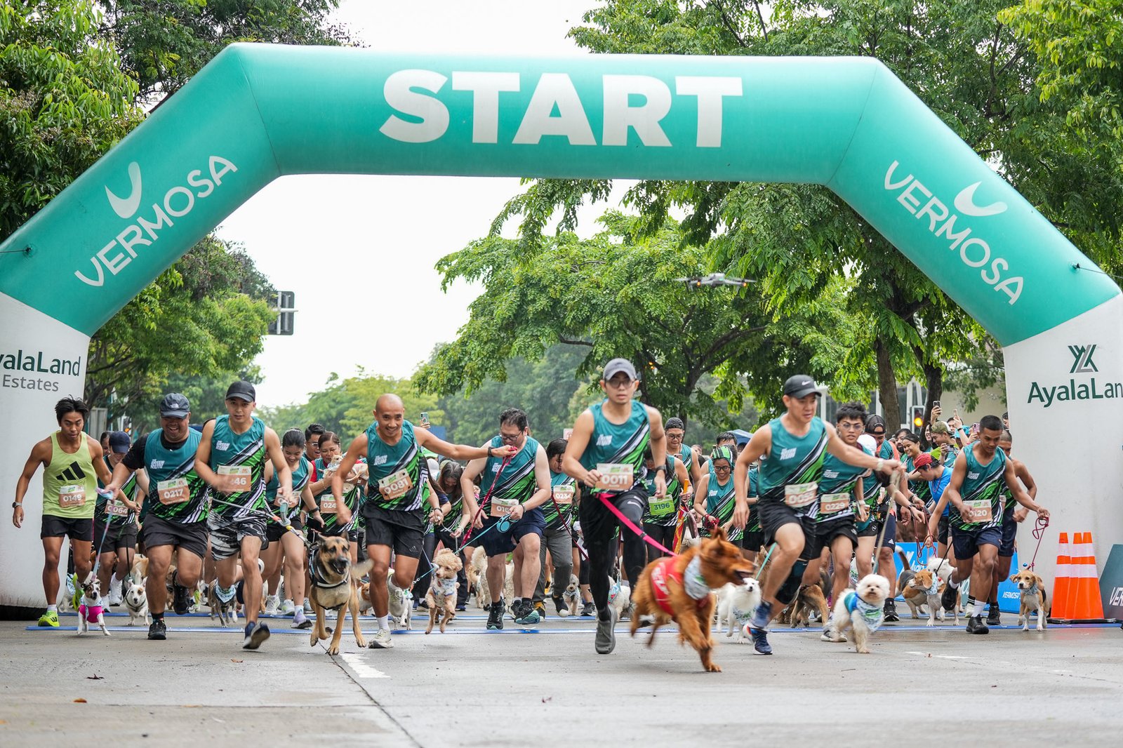 Dog owners got moving with their pets in the 1K Dog Run, combining wellness and fun.