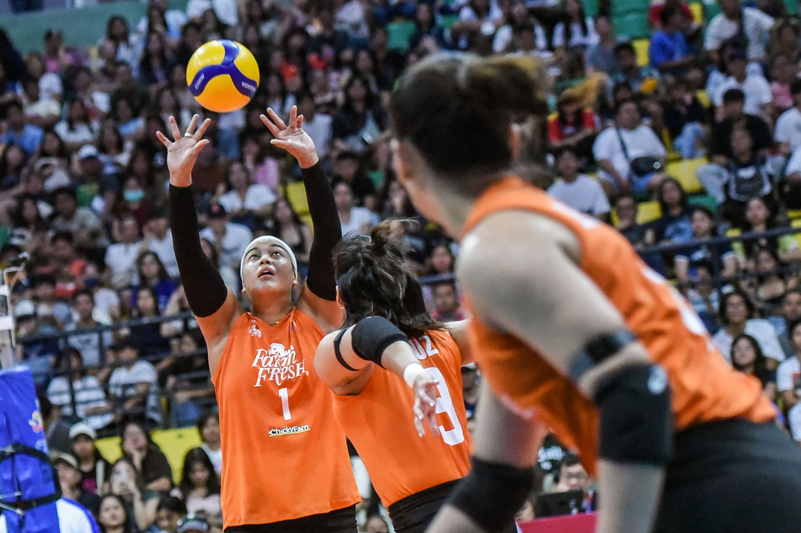 Alohi Robins-Hardy led the charge, but it was a total team effort for Farm Fresh in their latest win.  [PVL photo]