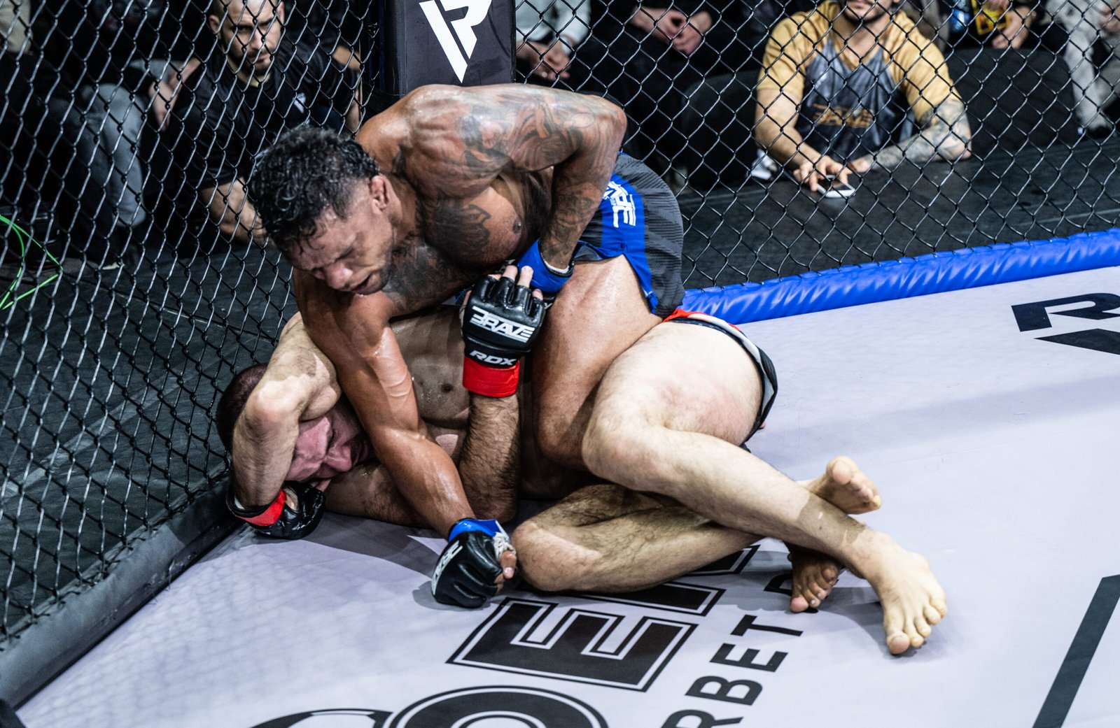 Luciano Palhano controls Nikola Joksović in the BRAVE CF 104 main event [PFL photo]