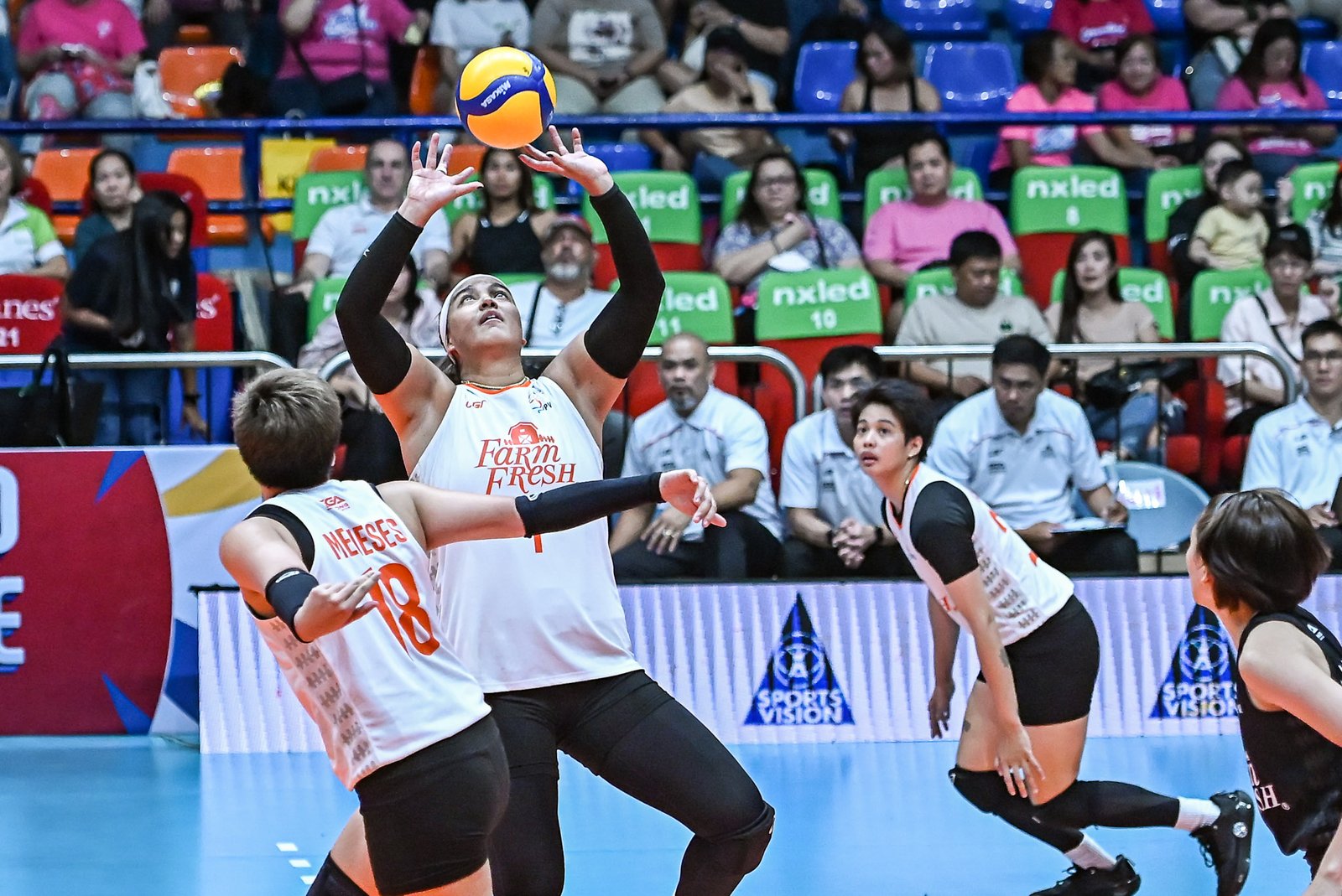 Alohi Robins-Hardy directs the offense with precision setting. [PVL  Images]