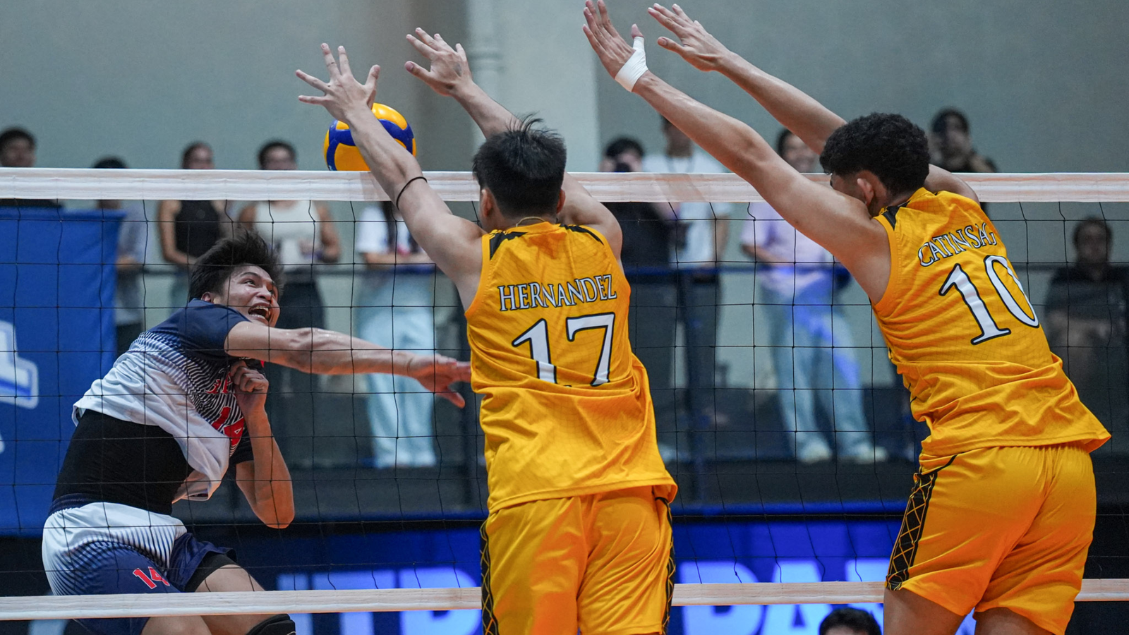 Dave Lardizabal leads Letran's offensive effort against UST. [PVL Images]
