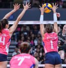 Cignal sweeps into PVL Finals after dominant win over Creamline