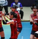 Korea sweeps Chinese Taipei for AVC Women’s Cup title