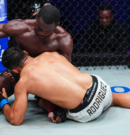 PFL DC: Jean Shakes Off Knockdown, Stops Rodriguez Late