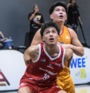 Red Cubs Outlast Mapua for Historic Inaugural U18 Crown