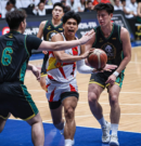 SMB Sets All-Time PBA Mark in Demolition of Giant Pandas