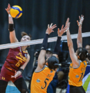 Lady Altas Rout UST in Statement Sweep at V-League