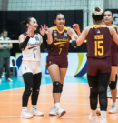Five Teams, Two Spots: V-League Semis Race Reaches Boiling Point