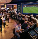 BetBuzz24 Guide: How to Choose a Betting Site That Fits the Way You Bet