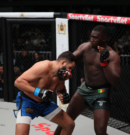 PFL Africa Casablanca Results: Kane Wins, Finals Set