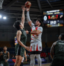Beermen Roar Back: Fajardo, King Torch Dyip After TNT Loss
