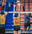 Frances Mordi Erupts as Adamson Stuns UST in V-League Finals
